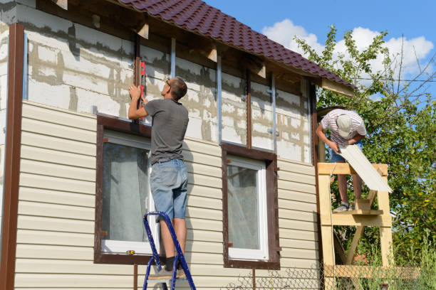 Best Steel Siding Installation  in Morton, MS